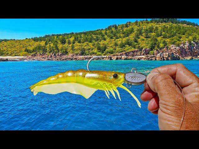 Fish Can Not RESIST This Lure!