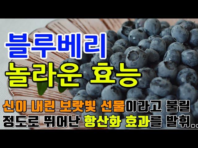 블루베리의 놀라운 효능 8가지 & 부작용 / " 블루베리의 풍부한 영양, 건강한 삶을 위한 선택 "