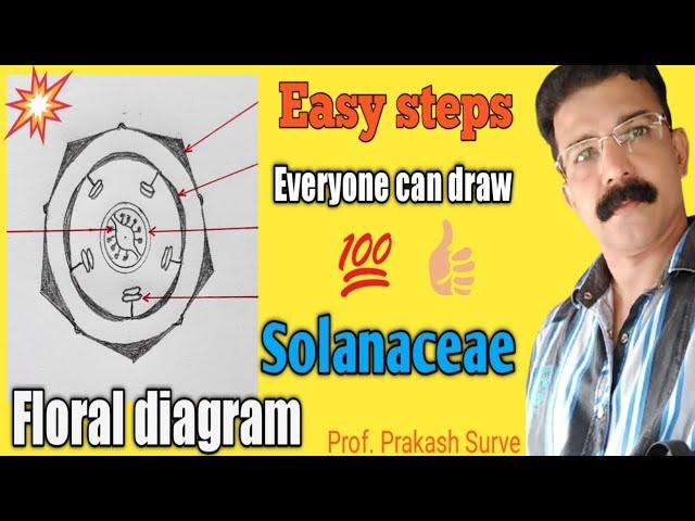 How to draw Floral diagram of Family - Solanaceae Easy Steps - By Prof. Prakash Surve ( Moderator )