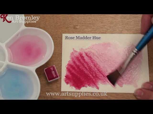 Winsor & Newton Cotman paint Rose Madder 580