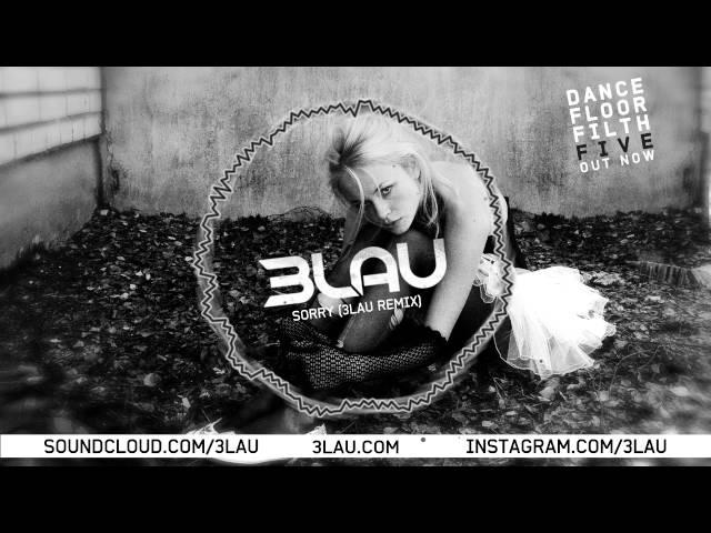 Justin Bieber - Sorry (3LAU REMIX)