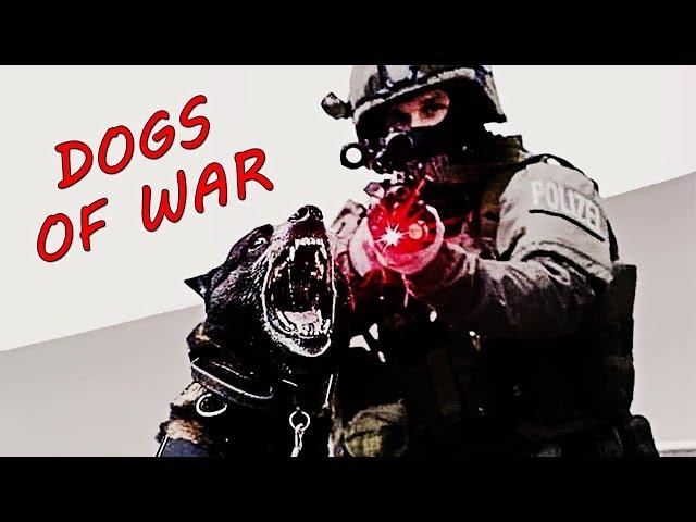 Military Dogs Training - K9 | Tribute