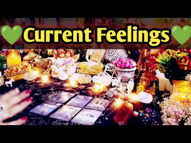 Current FeelingsMessages From Your PersonAll Signs Collective Timeless Tarot Reading