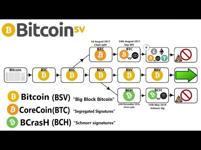 This is why Bitcoin is BSV!!!