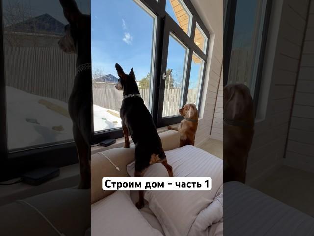 Полные выпуски у меня на канале  #строимдом #строимсами #ушп #одноэтажныйдом