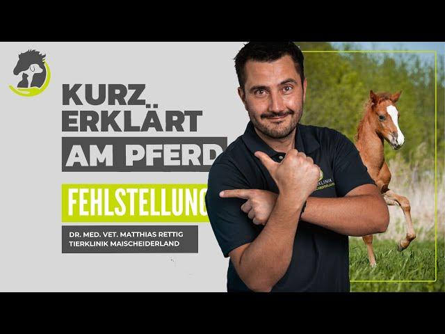 FEHLSTELLUNGEN - X- und O-Beinigkeit beim Fohlen. Frühzeitige Diagnose. kurz erklärt am Pferd.