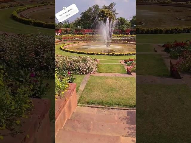 Amrit udyan#Rashtrapati bhawan#flowers #2024