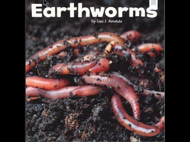 Earthworms by Lisa J. Amstutz