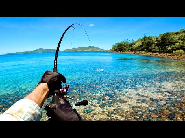 Fishing the Shoreline