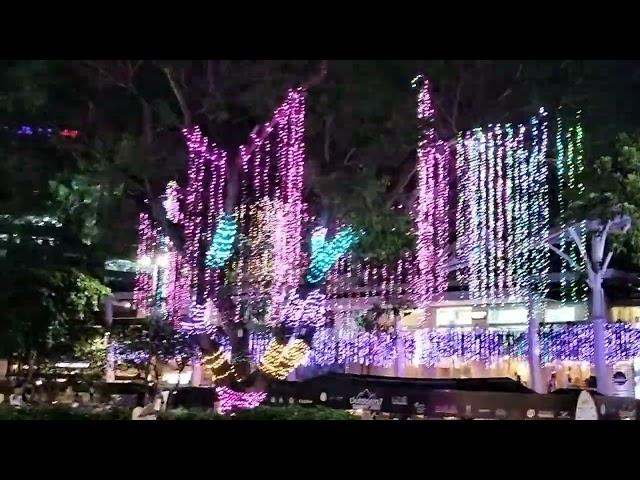 Ayala Cebu Christmas Lights