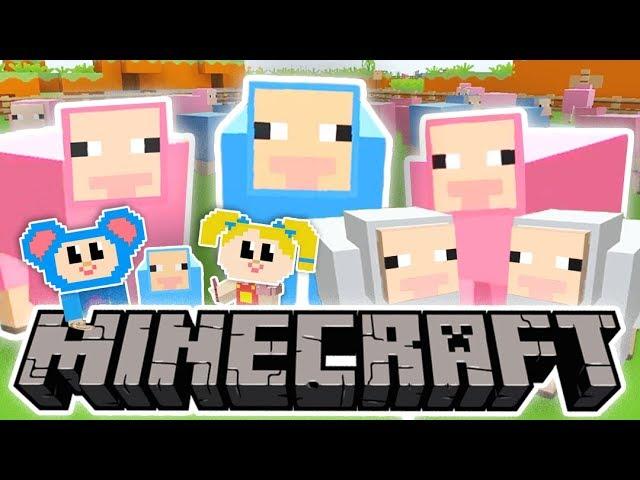 Eep and Mary Sheep Tag + More | Mother Goose Club: Minecraft