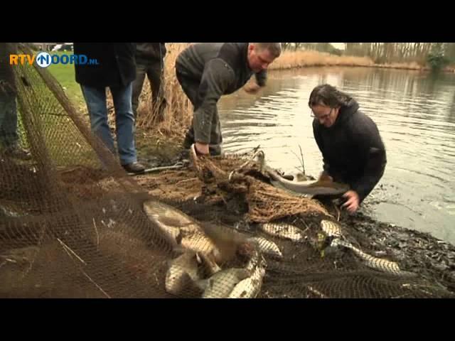 Vissen uit vijver verpleeghuis verhuisd - RTV Noord