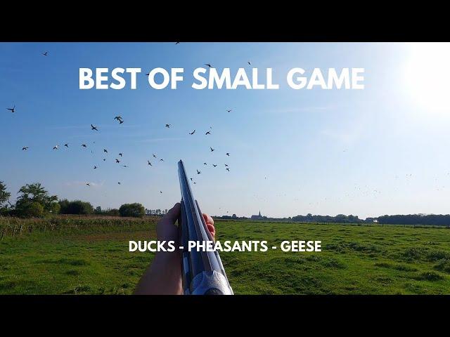 BEST OF SMALL GAME HUNTING 2023 - Ducks - Pheasants - Geese - compilation