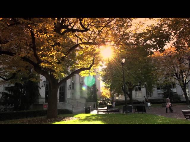 Northeastern University in the Fall