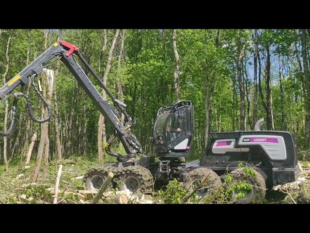 LOGSET 6HP harvesting aspen tree forest. Only hard work 