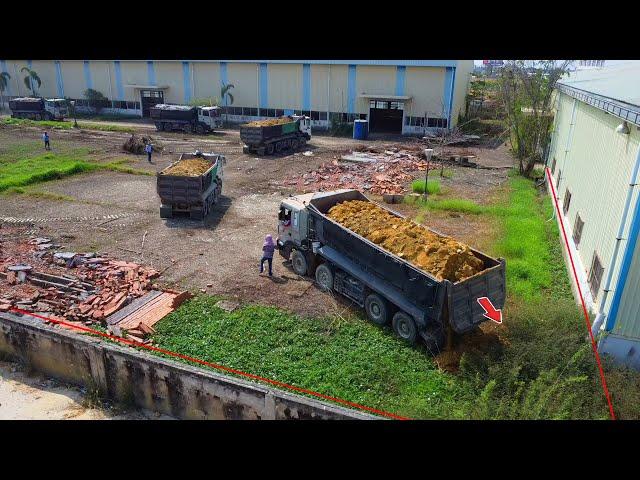 Huge Size Project, Bulldozer D58E KOMATSU, Great filling operation By 25.5Ton Dump Truck, MIX Video