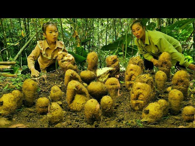 Another lucky day for me and my daughter - harvested a lot of yams and sold them al, Sweet potato