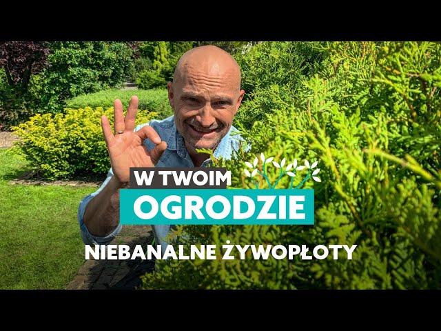 Niebanalne rośliny na żywopłot [W Twoim ogrodzie]