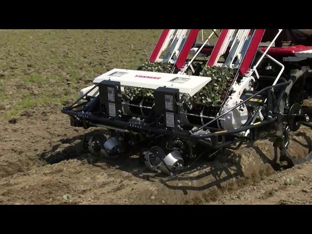 Fully Automated Vegetable Transplanter PW20R