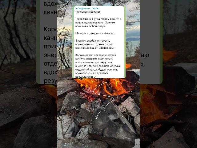 Канал в тг «А Сафронова говорит»