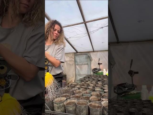 Только на монтаж этого видео ушло полтора часа , съемка не считается. надеюсь вам будет полезно ️