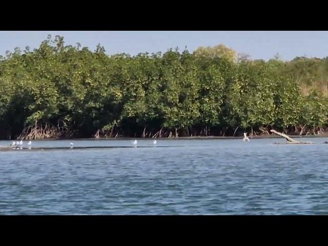 voyage a Casamance Avec Afro Alna Niking