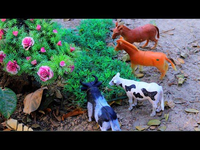 cow videos, cattle, dog, horse, jcb gadi, animal video, hamba, bommalu, tektar | Nov 18, 20248:58 AM