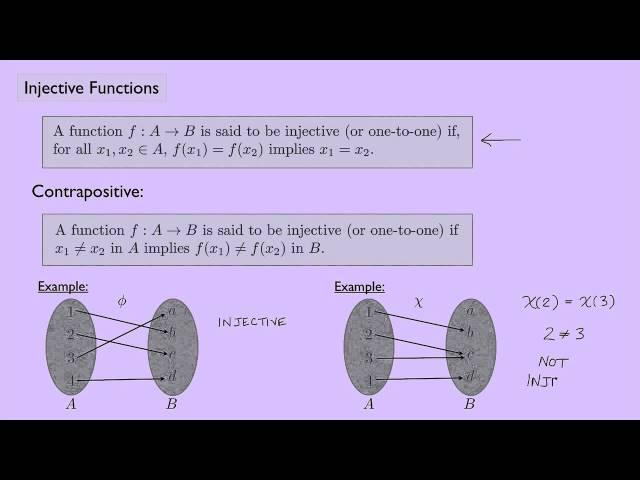 (Abstract Algebra 1) Injective Functions