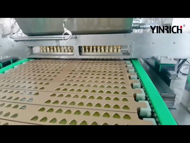 Factory Price GDQ300 Heart Shape Gummy Candy Production Line | YINRICH