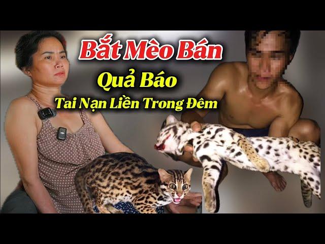 Người Phụ Nữ Đi Bẫy Mèo Bị Quả B/áo