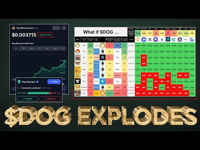 $DOG Bull Rally has Begun  (Strategy Exposed)