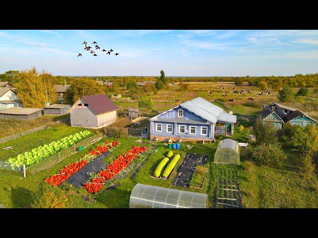 One Day in Life of the village Family in Russia. Autumn In The Russian North