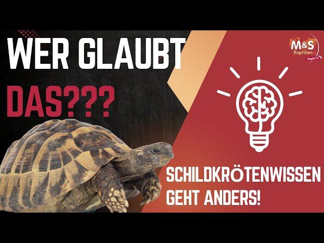  SHOCKING MISTAKES? | Greek tortoises in ONLY 100 seconds? | Reptil TV REACTION 