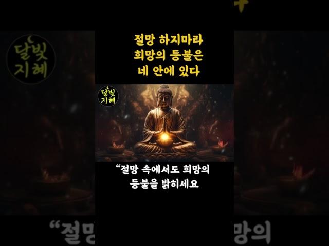 절망 속에서도 희망의 등불을 밝혀라ㅣ부처님말씀ㅣ불교명언  #명언 #긍정의말 #좋은글