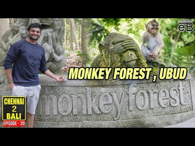 MUST VISIT: Monkey Forest in Ubud | Chennai to Bali| Explore With Bavin