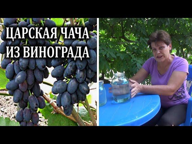 Царская чача из винограда  Как сделать чачу