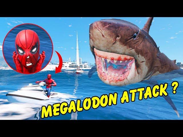 GTA 5 - Spiderman FOUND The Biggest Shark! (Megalodon Shark Attack)