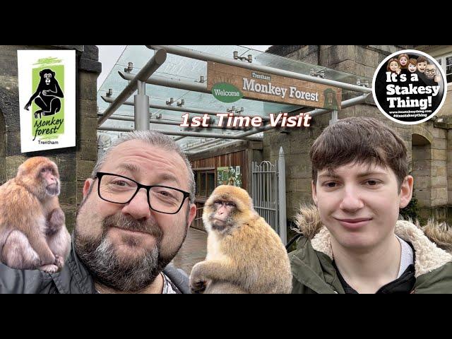 Trentham Monkey Forest, First time visit, Look around with us #itsastakesything