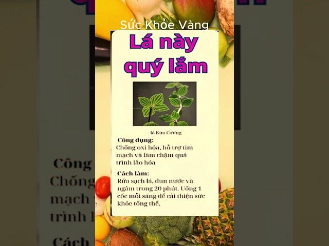 Bí Quyết Giữ Gìn Sức Khỏe Toàn Diện | Sức khỏe vàng #ChămSócSứcKhỏe #BảoVệSứcKhỏe #SốngKhỏeMỗiNgày