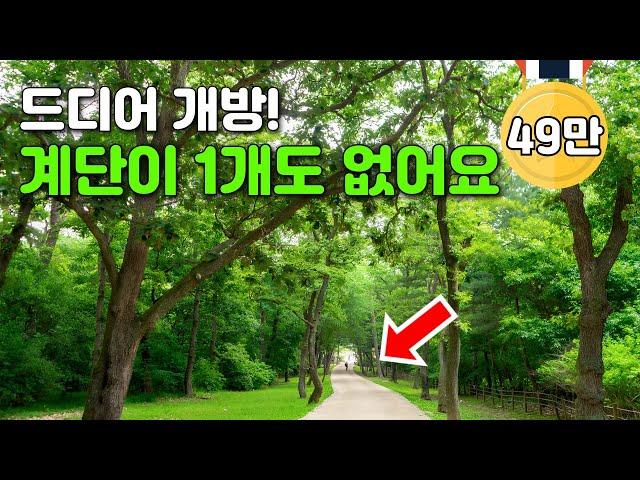  지하철역 10분! 딱 6주만 개방해요. 세계가 인정한 가장 특별한 10km 트레킹코스ㅣ당일치기 대중교통 여행