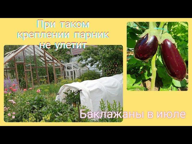 Укрывной не улетит с грядки Как быстро закрепить Баклажаны  в Агропарнике