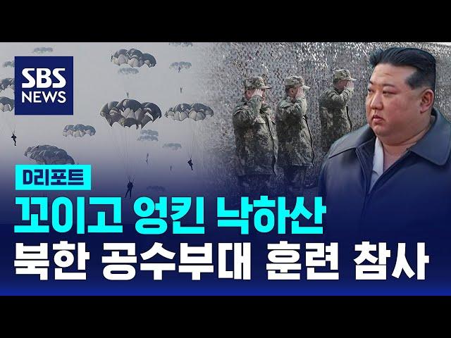 꼬이고 엉킨 낙하산…북한 공수부대 훈련 참사 / SBS / #D리포트