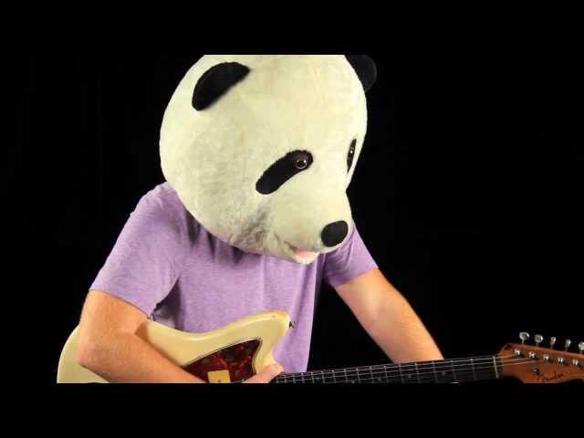 1961 Fender Jazzmaster Demo & Tone Review ( with Panda )