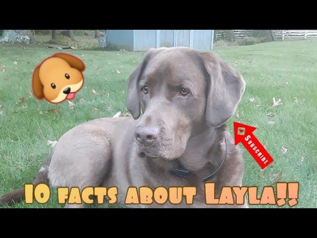 10 facts about Layla!!!