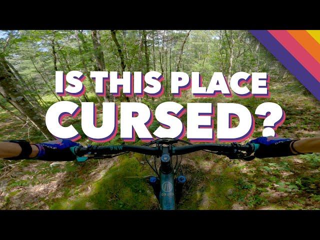 FINALLY, a video of the MTB trails in South Bath // Lilly Pond Community Forest