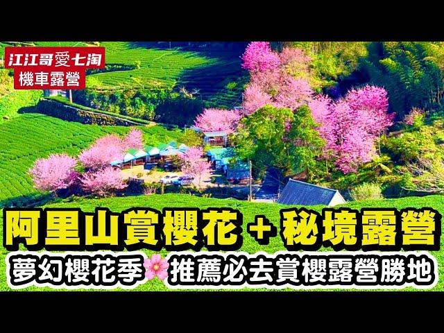 【江江哥愛七淘】機車露營｜奮起湖｜阿里山櫻花季｜良亭花岩露營區｜機車旅行｜嘉義美食｜阿里山一日遊 Taiwan travel台灣櫻花季 #環島 #機車環島 #嘉義景點 #賞櫻景點 #露營