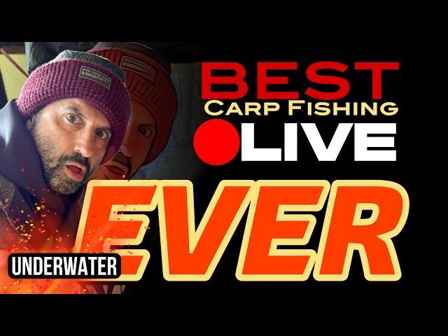 THE BEST UNDERWATER CARP FISHING EVER | ALI HAMIDI | BOBBY ZAMORA | GFA | ONE MORE CAST