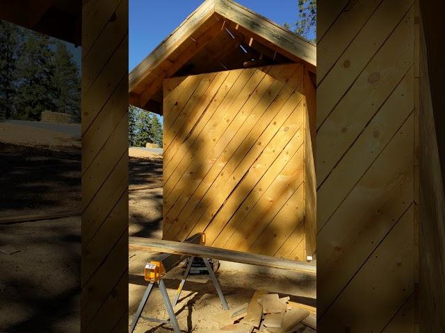 Building with Hand Milled Pine Lumber, #shorts