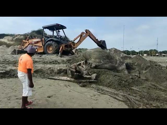 Maquinaria de construcción