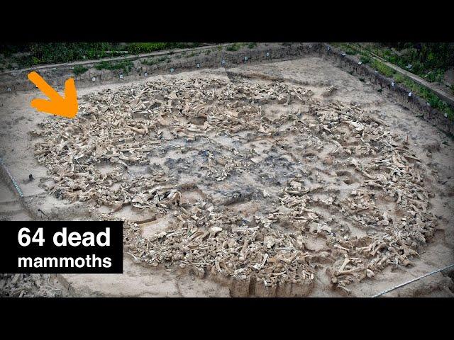 What are these enormous piles of Mammoth bones?